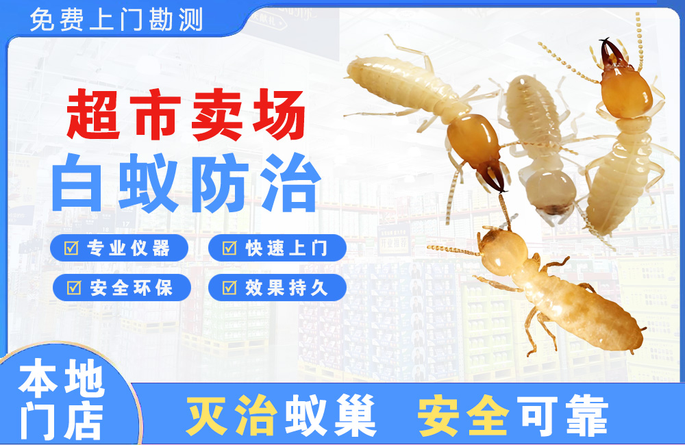 巴中超市卖场白蚁防治
