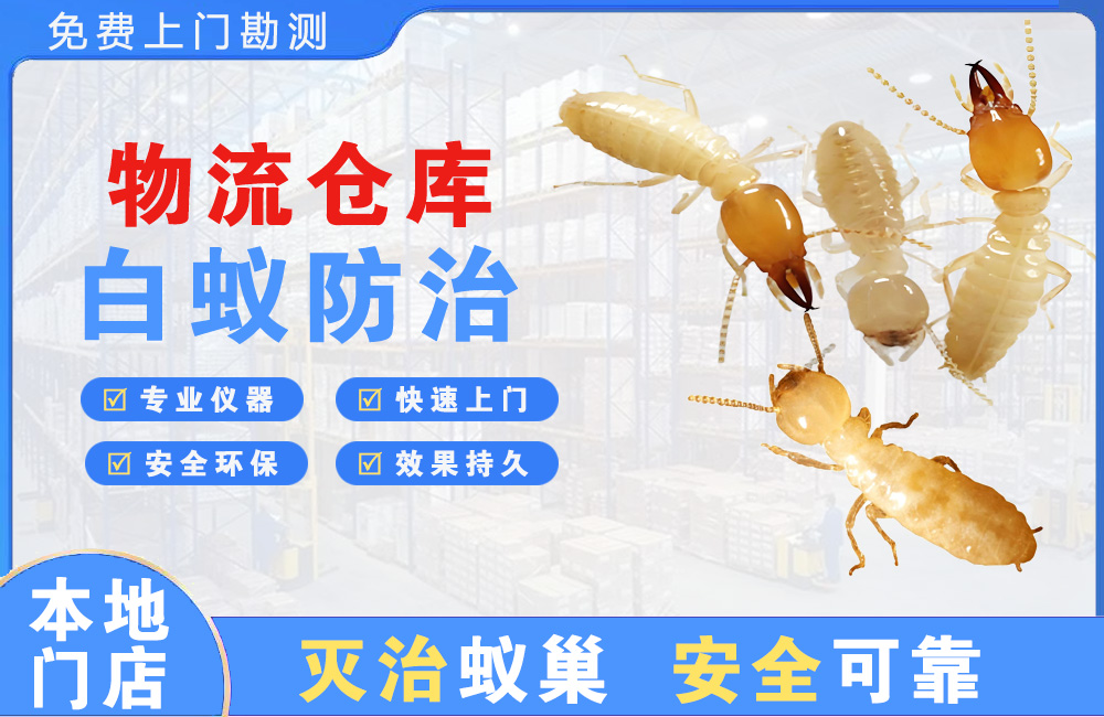 巴中物流仓库白蚁防治