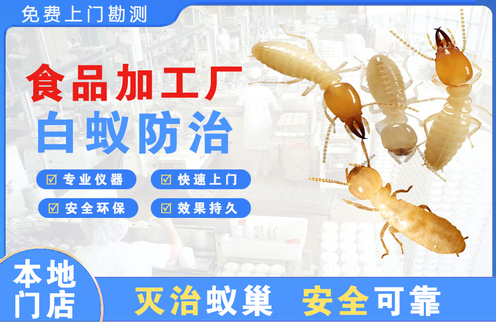 巴中食品加工厂白蚁防治