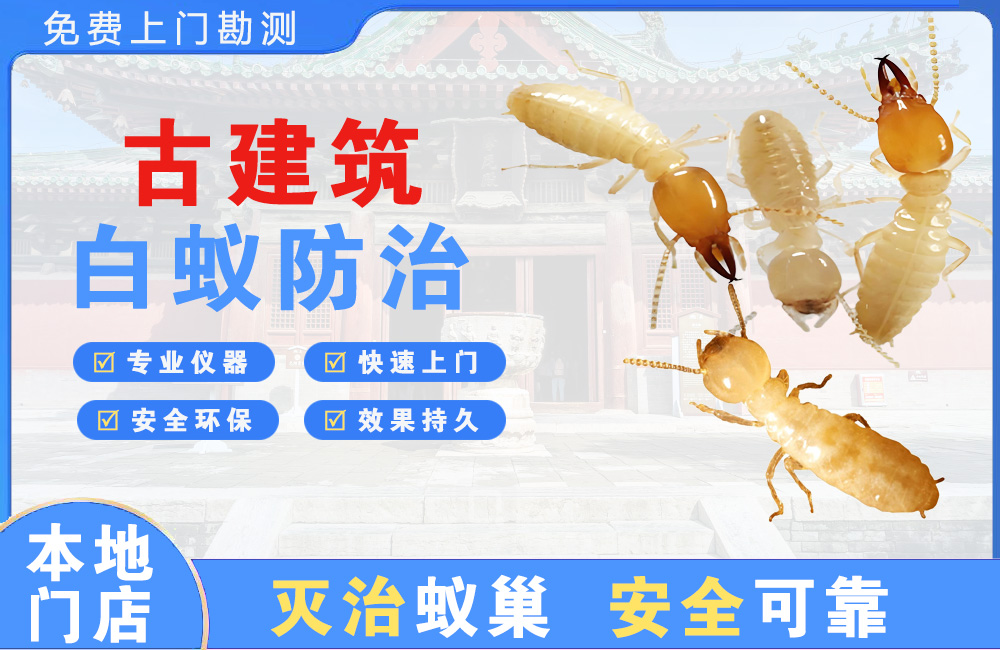 巴中古建筑白蚁防治