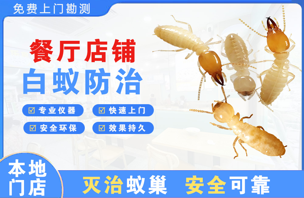 巴中餐厅店铺白蚁防治